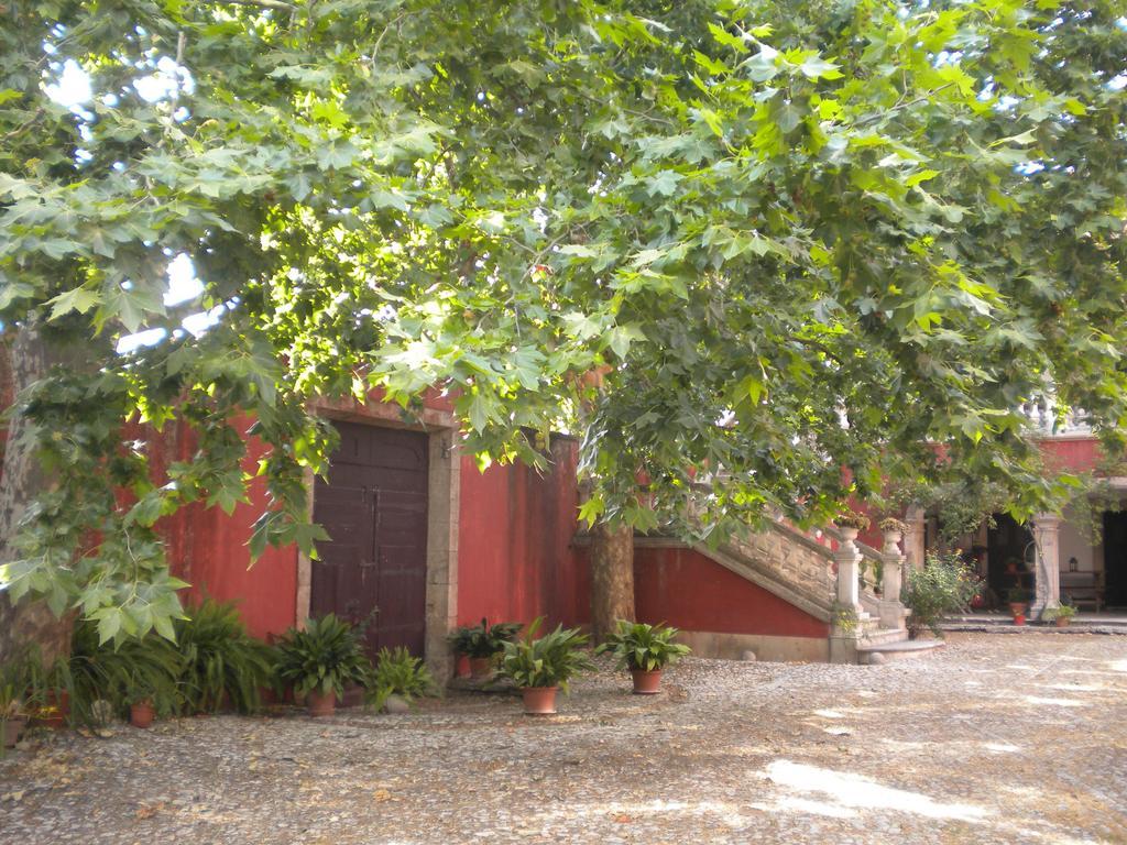 Casa Dos Vargos Torres Novas Exterior photo